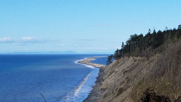 A coastal landscape with a beach and a forested cliff.