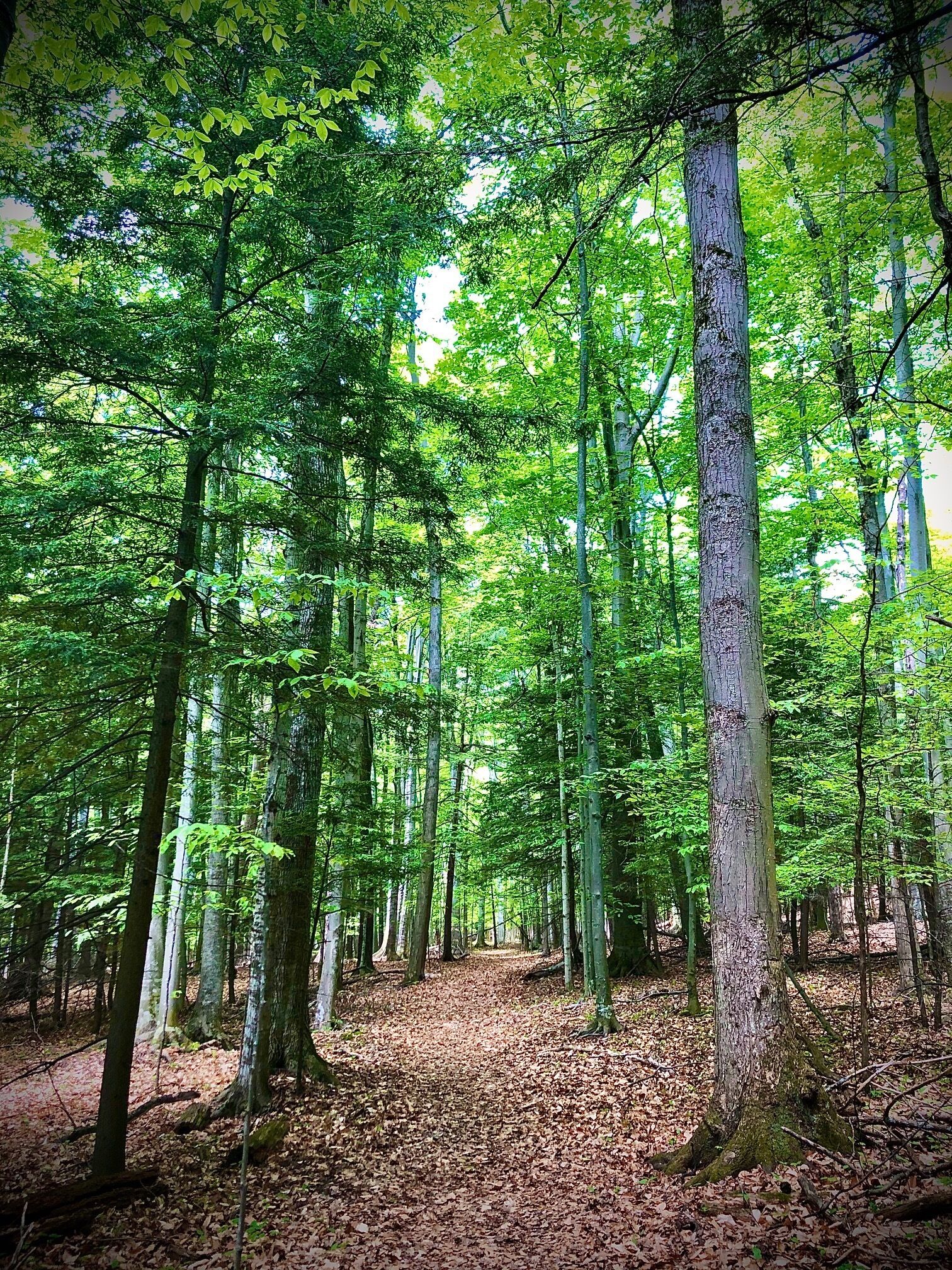 Beautiful trails just outside the front door