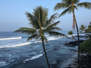 Une plage bordée de palmiers, avec les vagues de l’océan qui déferlent.