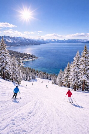 Snow and ski sports - Amazing Home in Prestigious Dollar Point! (Tahoe City)