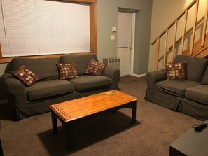 TV, fireplace, video games, DVD player