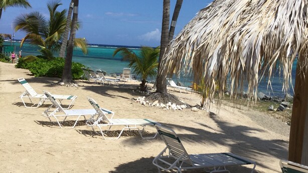 Une plage avec des chaises longues blanches, des palmiers et une structure à toit de chaume.