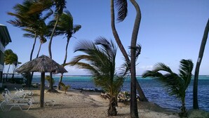 Une plage bordée de palmiers, une hutte à toit de chaume et des chaises longues.