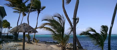 Tumbonas y toallas de playa