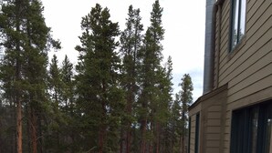 A deck with a glass-top table and chairs, surrounded by tall trees. - Ski In/Out, Walk To Trails & Town, 4 Bdr Townhome. (Breckenridge)