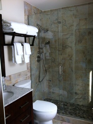 Combined shower/tub, hair dryer, towels, toilet paper