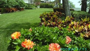 Ein Hotel mit gepflegtem Rasen, bunten Blumenbeeten und Palmen.