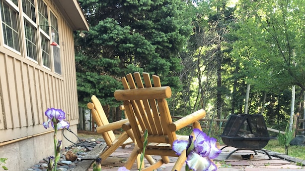 A garden with a stone pathway, a wooden chair, and purple and white flowers. - Quiet vacation house on forested property in Ouray (Ouray)