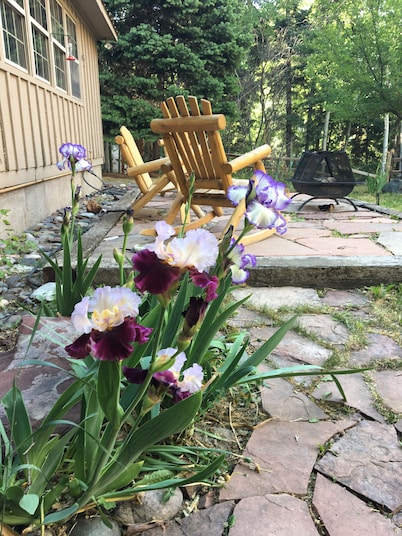 Quiet vacation house on forested property in Ouray
