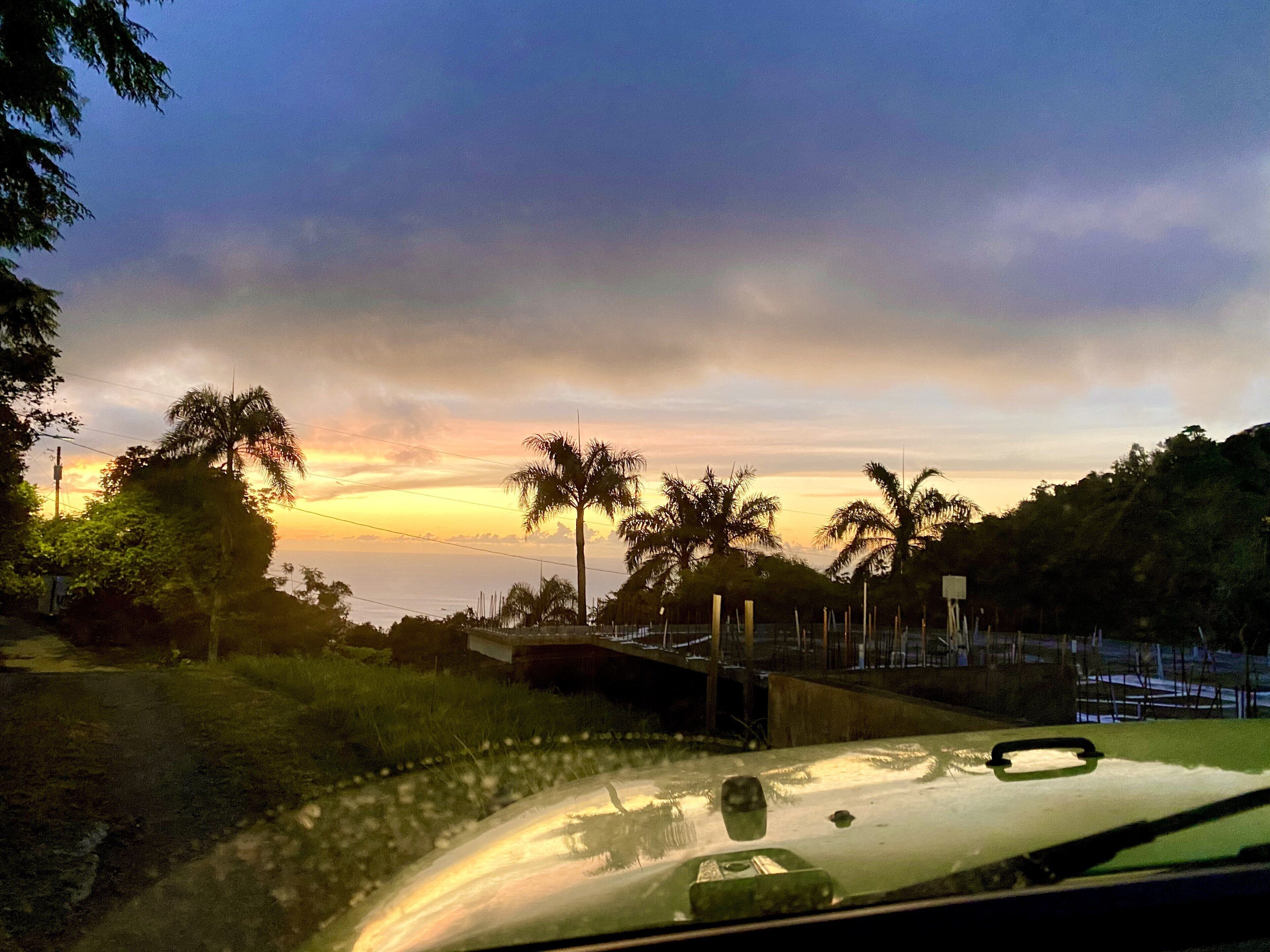 A sunset view with palm trees and a road.