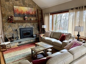 TV connectée, cheminée, jeux vidéo, lecteur de DVD