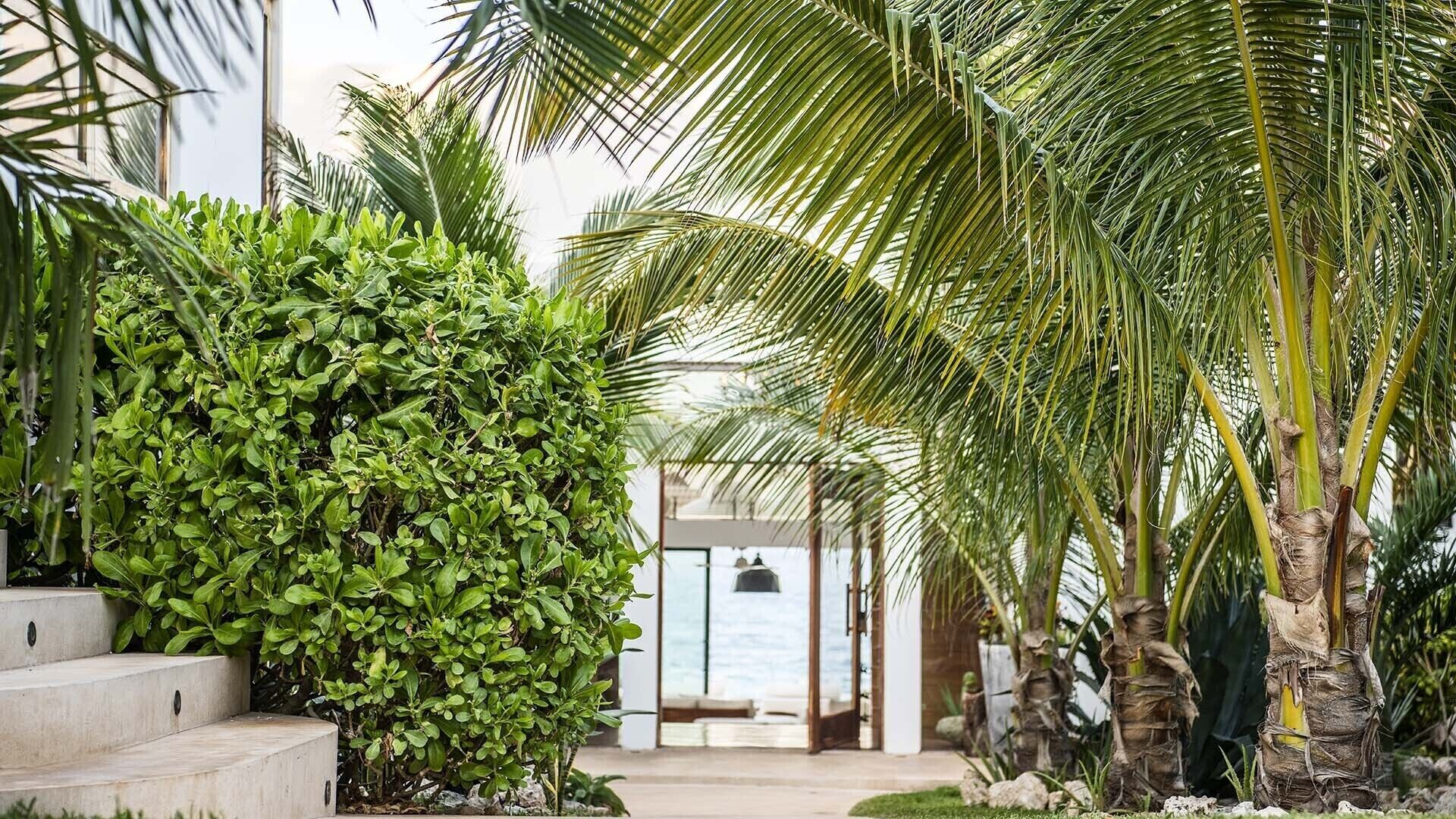 Áreas de la propiedad