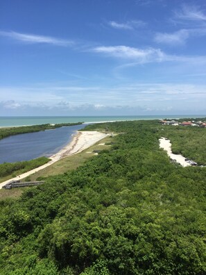 Uma área costeira com vegetação densa, uma praia e vista clara para o oceano.