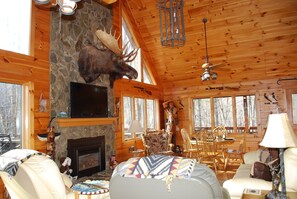 Smart TV, chimenea, reproductor de DVD y libros