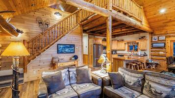 Smart TV, fireplace, DVD player, books