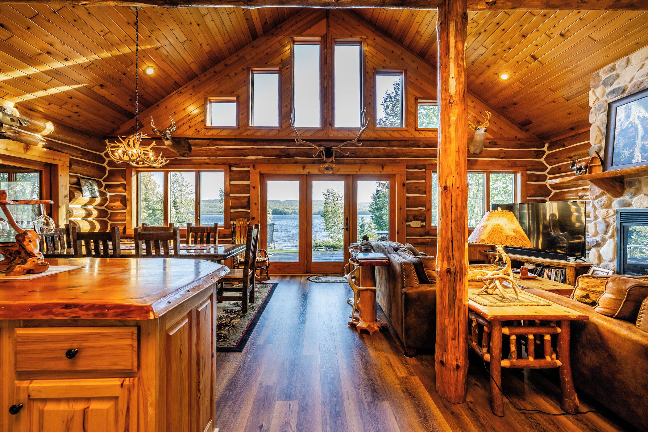 Televisor intel·ligent, llar de foc, reproductor de DVD i llibres 