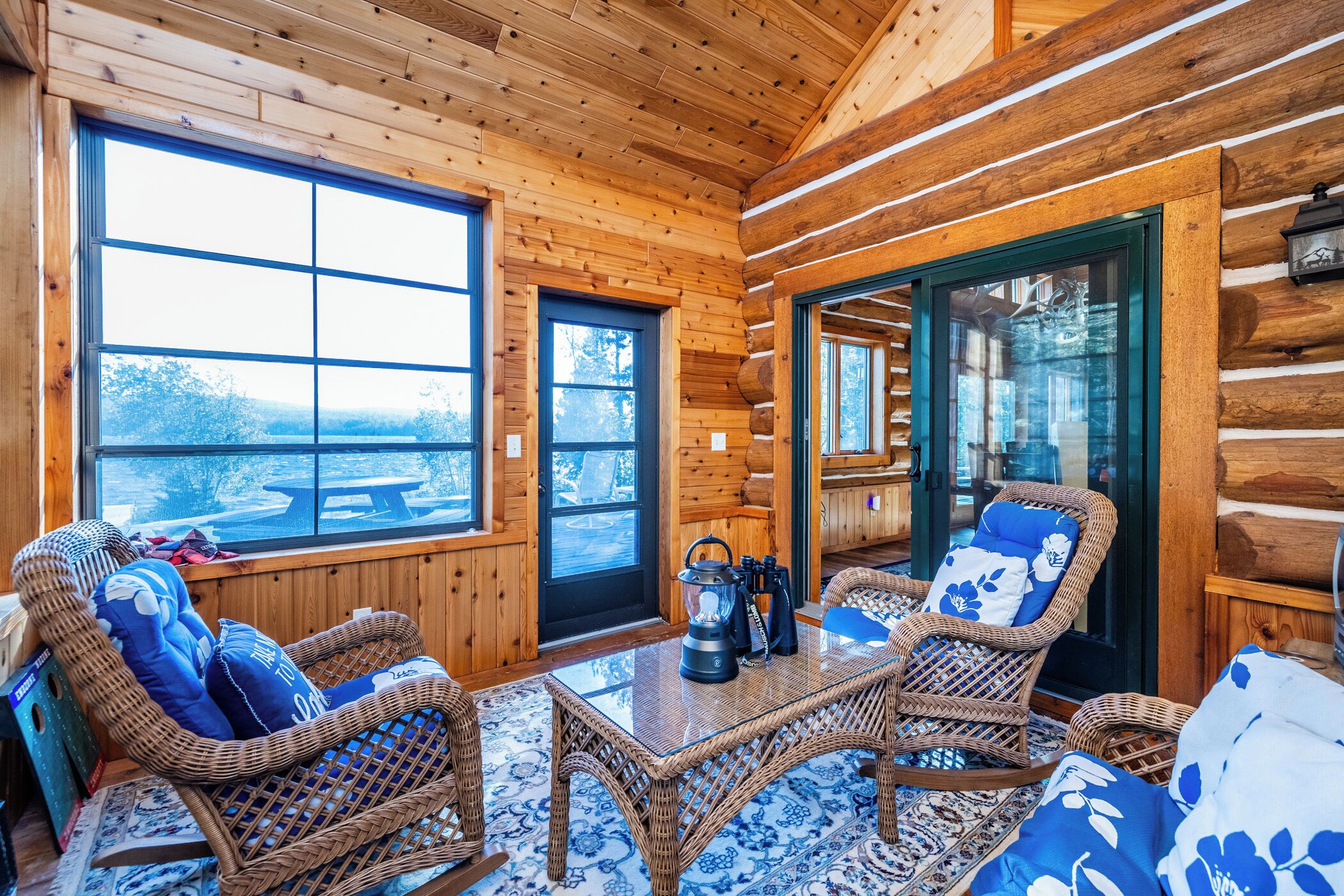 智能電視、壁爐、DVD 播放機、書籍