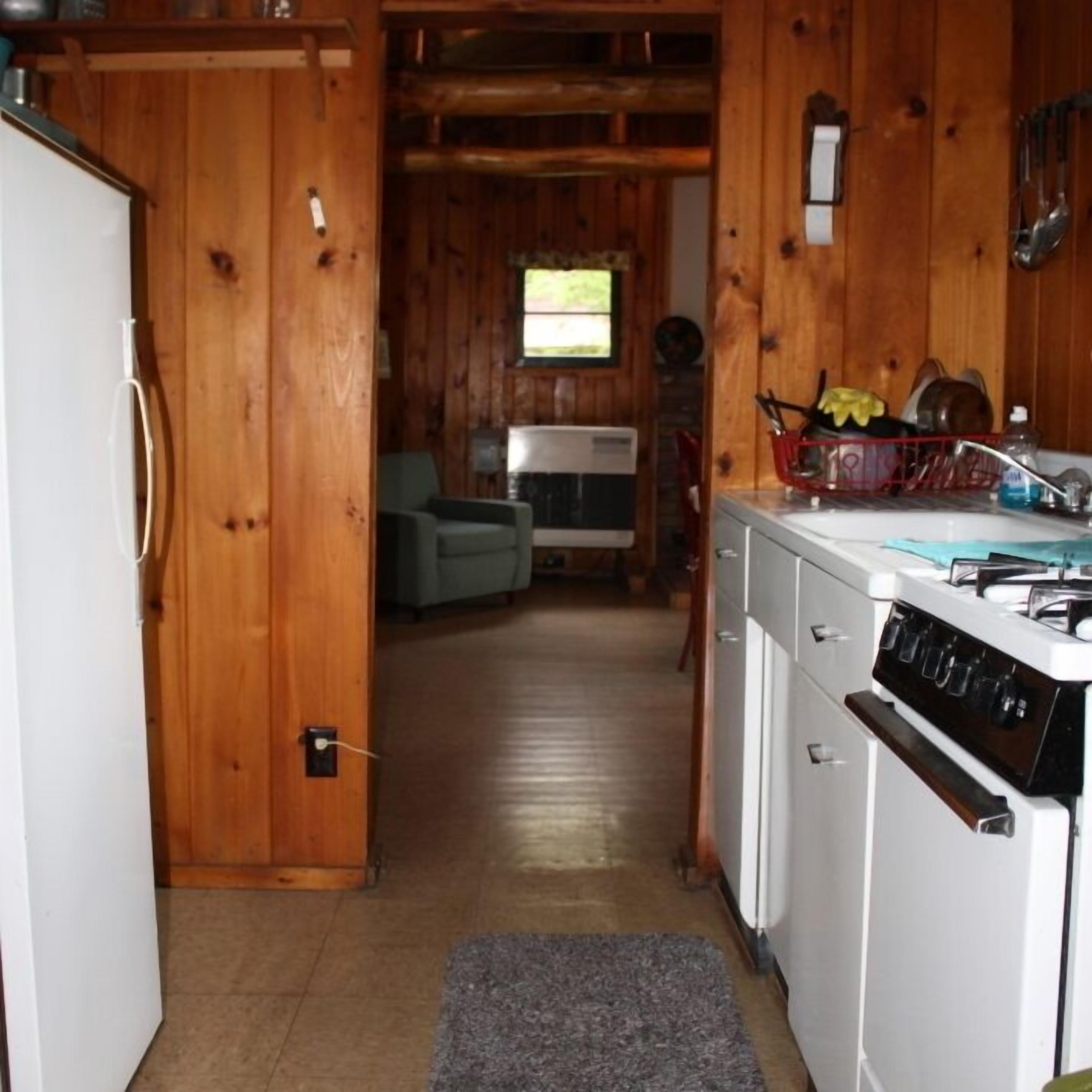 Book now for summer! Lakefront Adirondack cabin with deck, dock and great views