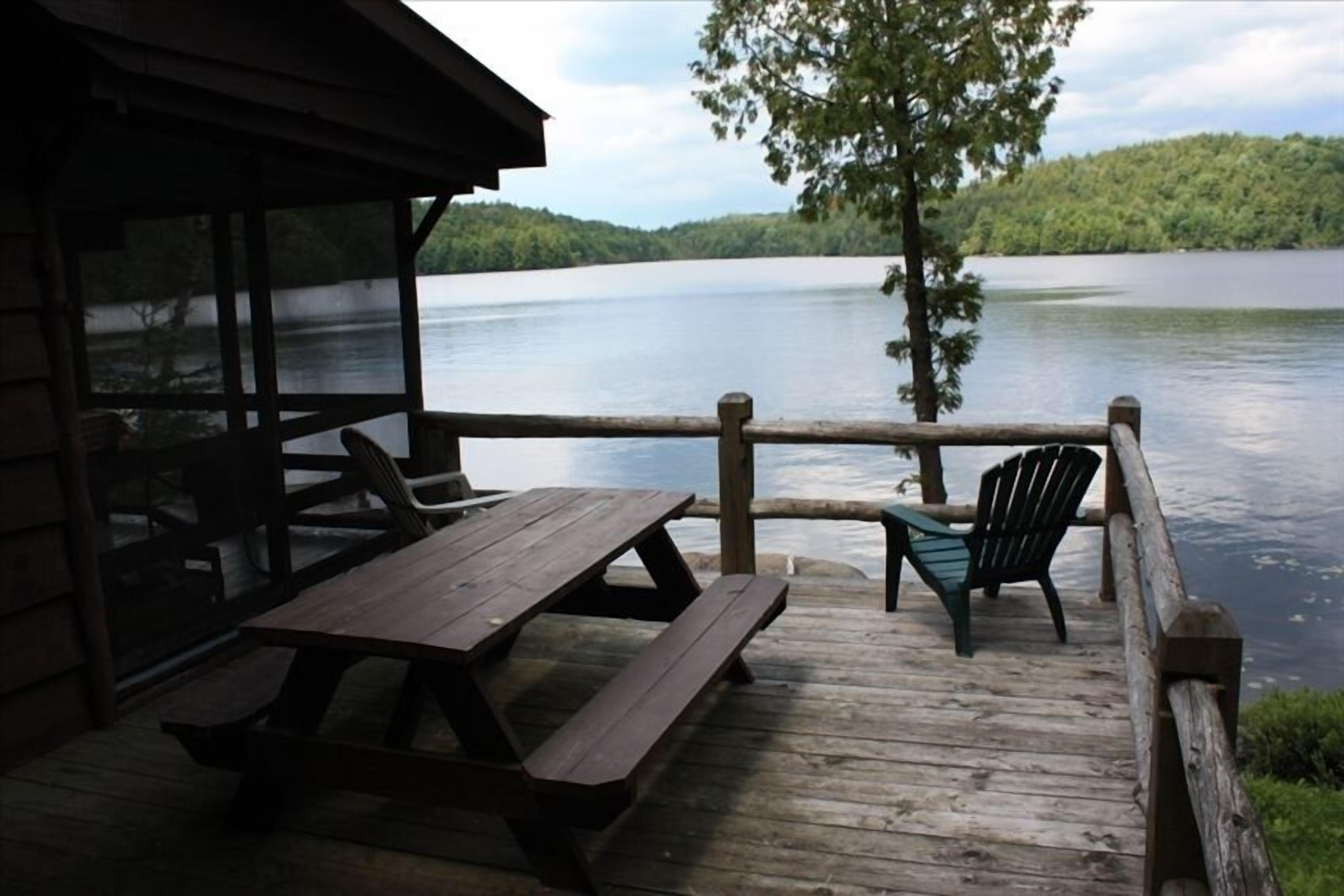 Book now for summer! Lakefront Adirondack cabin with deck, dock and great views