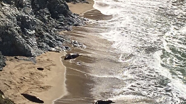 Una platja costanera amb penya-segats rocoses i on les onades baten la riba.