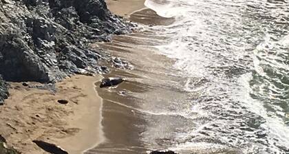 Big Lovely House in the Fresh - Inverness Original