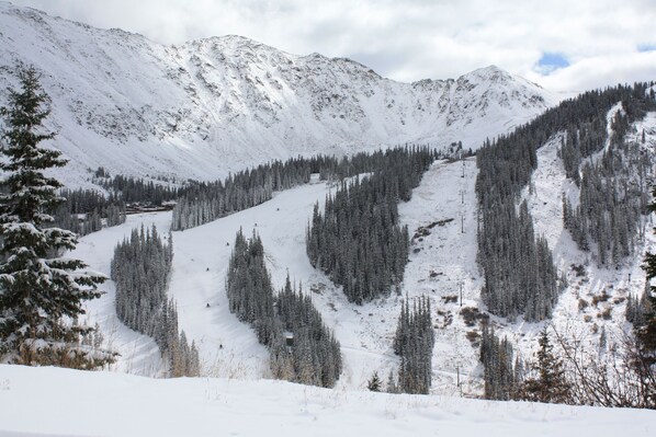 A snow-covered mountain landscape with dense forests and a ski slope.