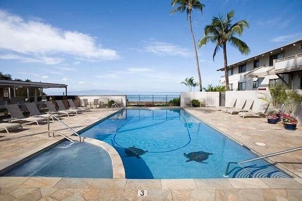 Outdoor pool, a heated pool