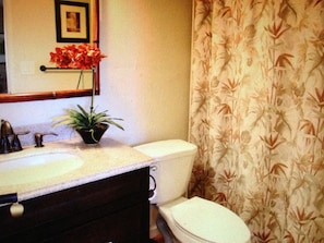 Combined shower/tub, hair dryer, towels, soap