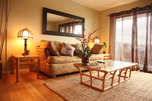 Smart TV, DVD player, books, video library