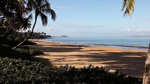 A beach with palm trees, a sandy shore, and a clear view of the ocean. - Shores of Maui - Ocean View- Top Floor Unit--Spacious! AC & WiFi (Kihei)