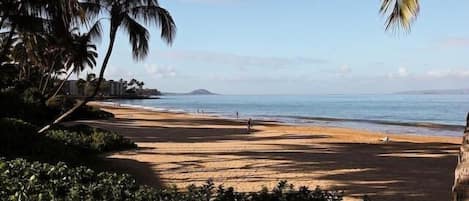 Beach nearby, sun loungers, beach towels