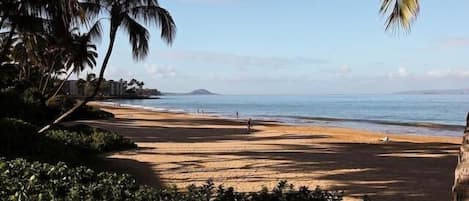 Beach nearby, sun-loungers, beach towels