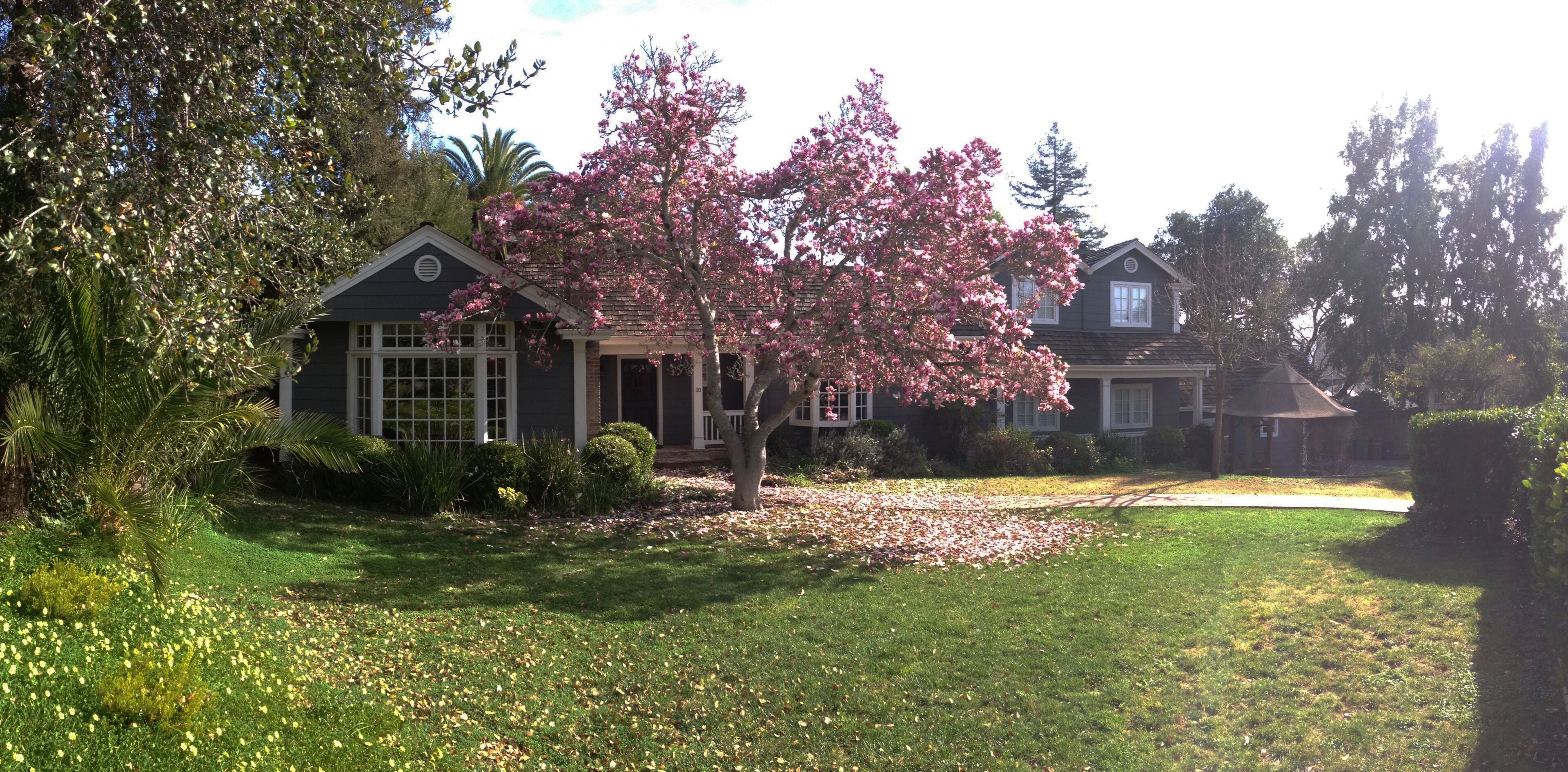 Sunny, Sprawling Estate 25 Minutes From SF and Wine Country, Outdoor Life, Pool