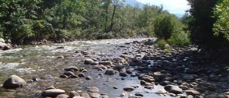 Un fiume con acque limpide che scorrono su rocce, circondato da alberi verdi e rigogliosi e una montagna sullo sfondo.