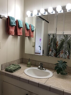 Combined shower/bathtub, hair dryer, towels, soap