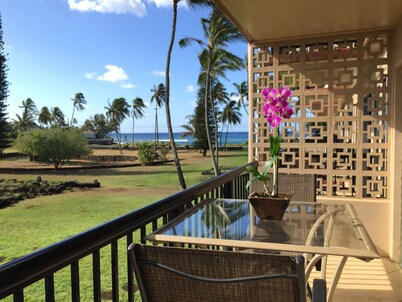 Ocean-View Studio, Steps to Beaches, in Sunny Poipu