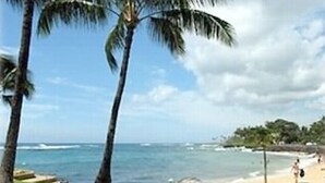 A beach with palm trees, a sandy shore, and the ocean. - Ocean-View Studio, Steps to Beaches, in Sunny Poipu (Koloa)
