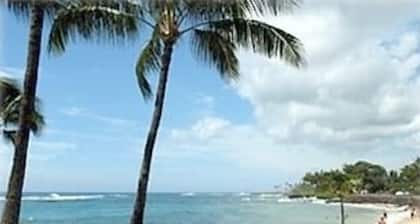 Studio avec vue sur l'océan, à quelques pas des plages!