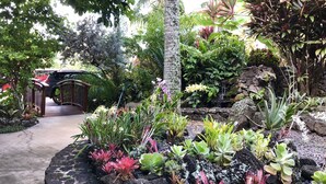 A garden with various plants and a small bridge. - Ocean-View Studio, Steps to Beaches, in Sunny Poipu (Koloa)