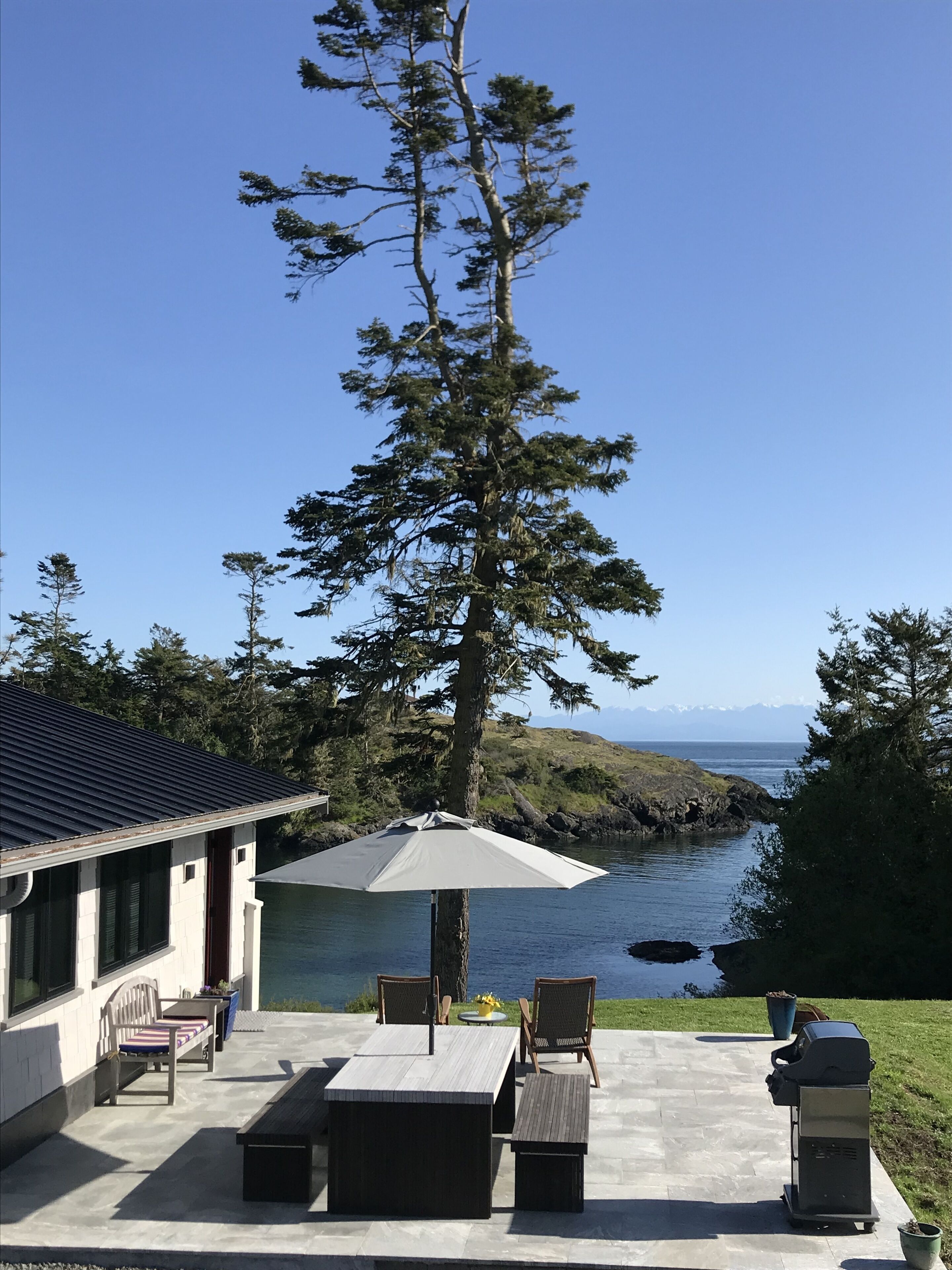 Waterfront Cove, West Side Of San Juan Island, Sandy Beach, Prime Orca location