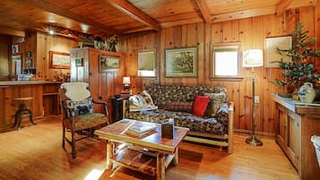 Smart TV, DVD player, books, video library
