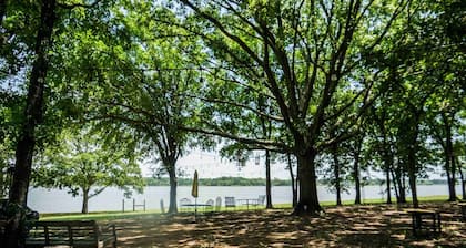 Adventure & Attractions Hub | Ray Roberts Lake, Hiking & Wildlife Watching
