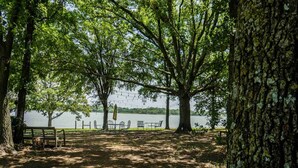 Un parc avec un banc, des tables et des chaises, le tout installé sous les arbres, près d’un lac.