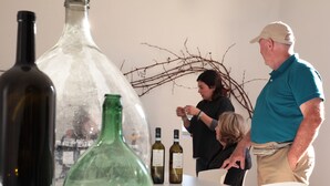 A table with wine bottles and a decorative branch. - Beautiful and Cosy Countryhouse Overlooking Orvieto (Orvieto)