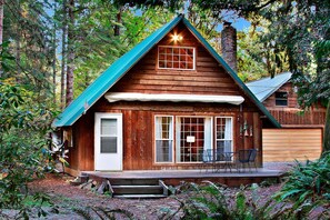 Exterior - Cozy, clean, updated cabin w/hot tub, fireplace, fire pit, BBQ, smart TV (Packwood)