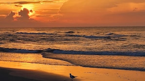 A sunset over the ocean with waves and a bird on the shore.