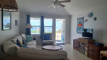 TV, DVD player, books, video library