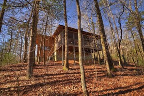 Exterior - Secluded Bliss BirchTree Cabin with Indoor Hot Tub (Ellijay)