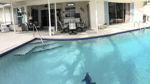 Piscine extérieure, piscine chauffée
