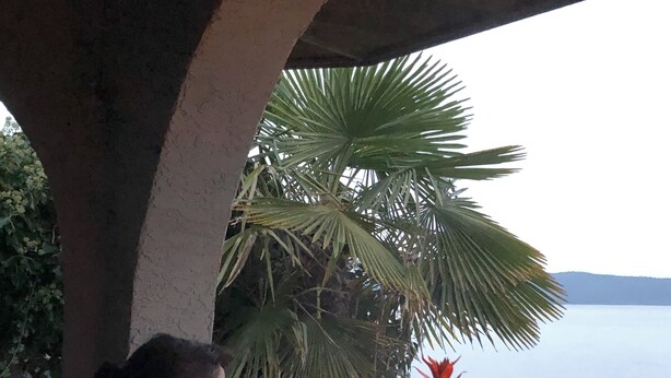 Une personne est assise sur un banc, à l’abri d’une structure qui offre une vue sur une étendue d’eau et des palmiers.